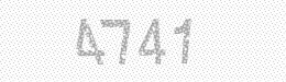Visual security code — type the characters shown in the image