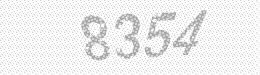 Visual security code — type the characters shown in the image